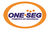 ONE SEG